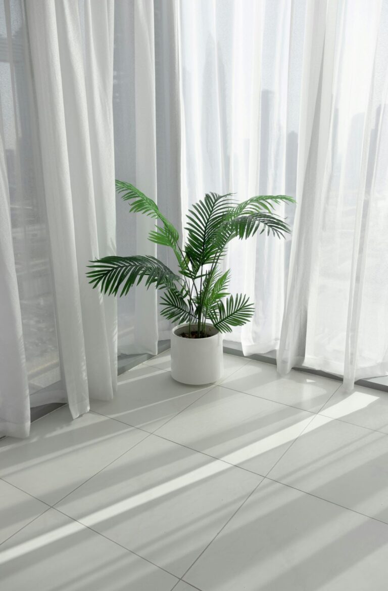 curtains image